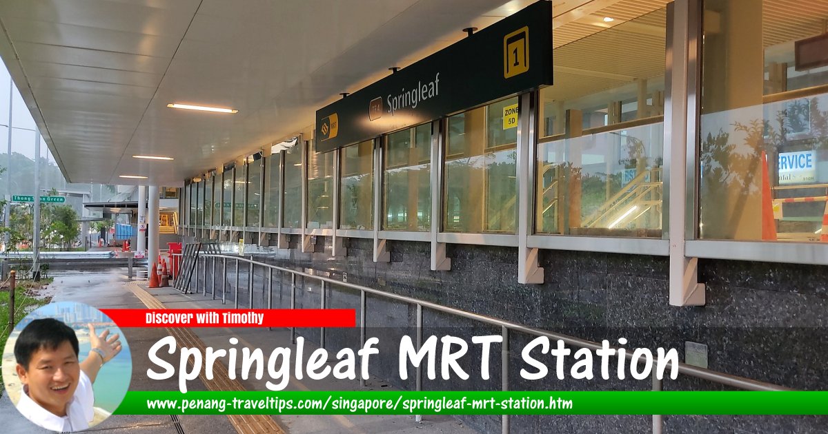 Springleaf MRT Station, Singapore