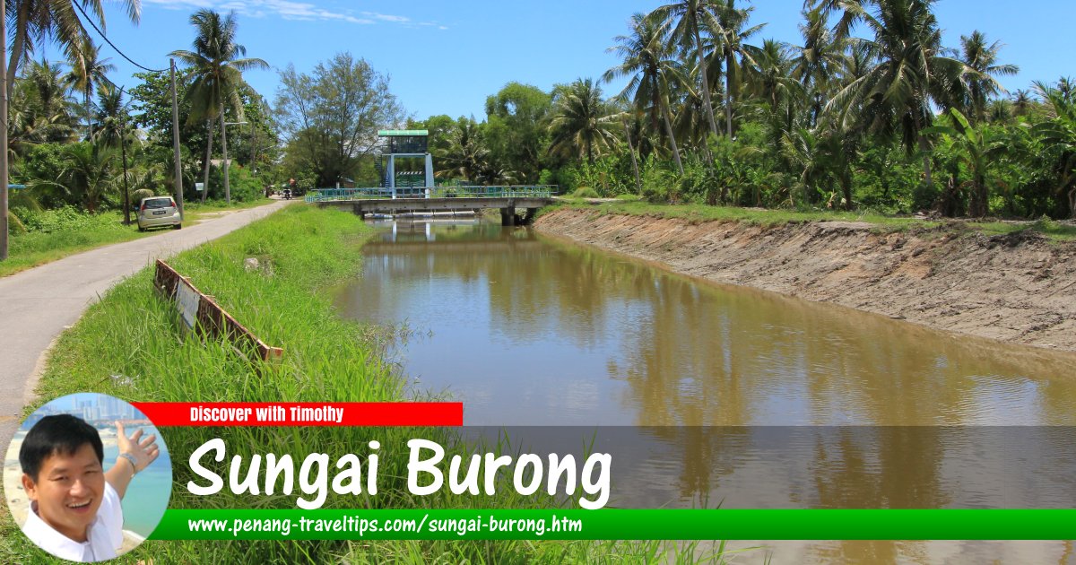 Sungai Burong, Balik Pulau