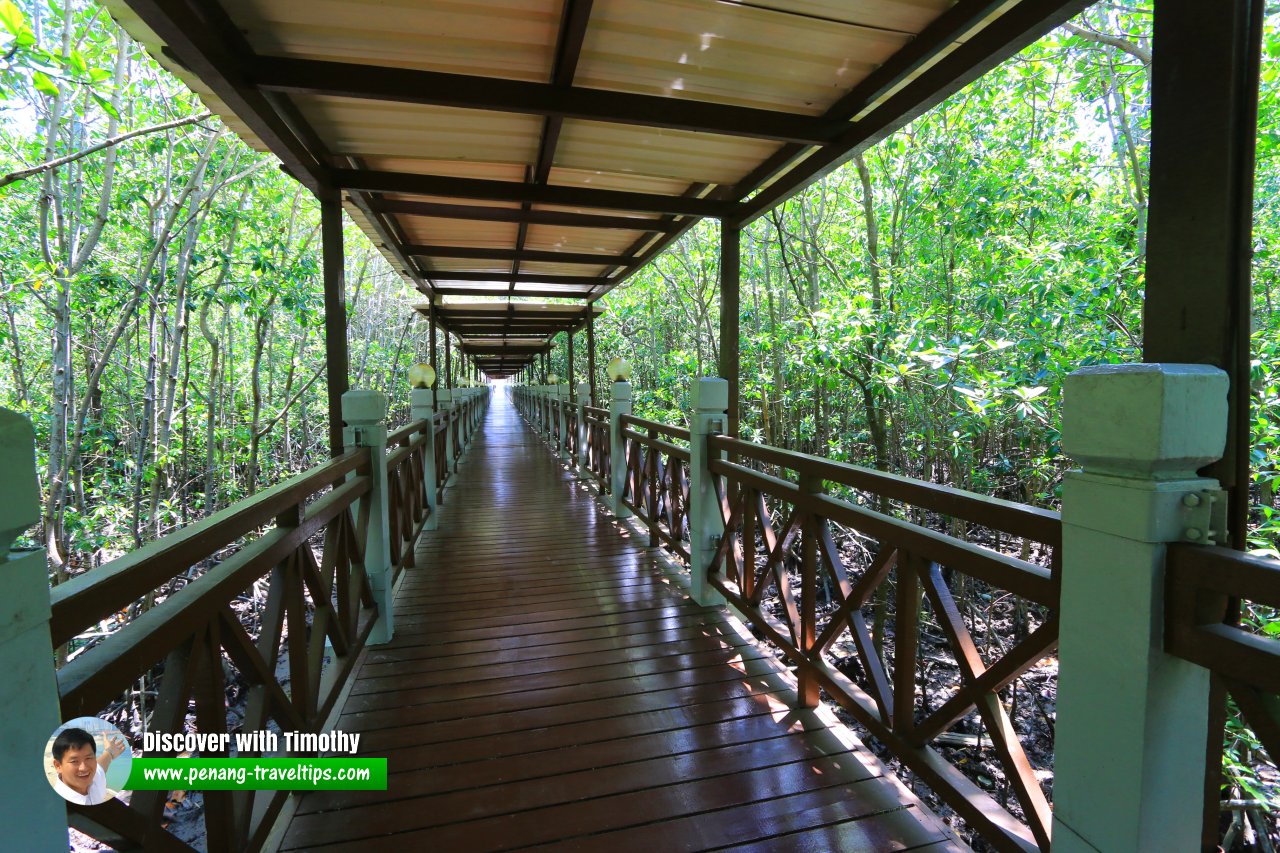 Taman Negara Tanjung Piai