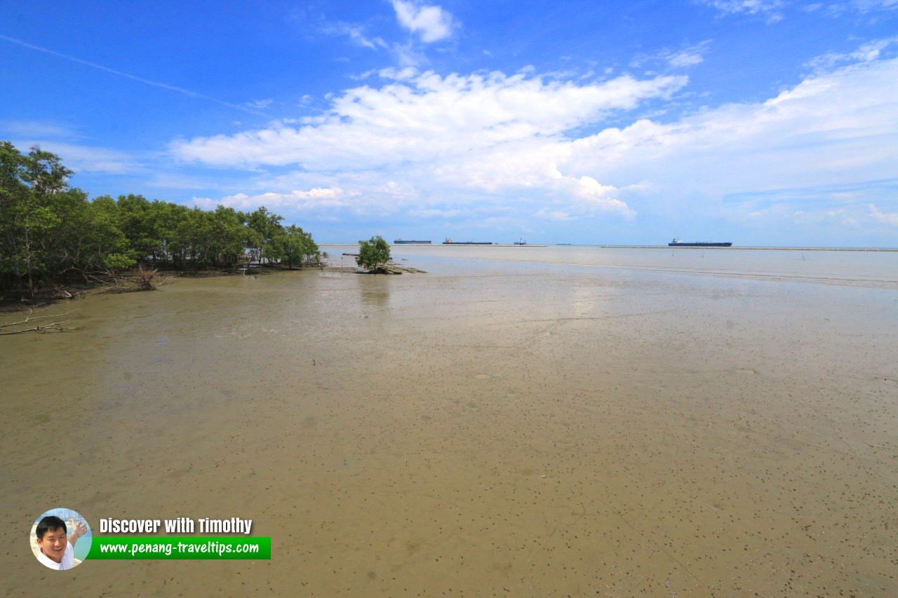 Taman Negara Tanjung Piai