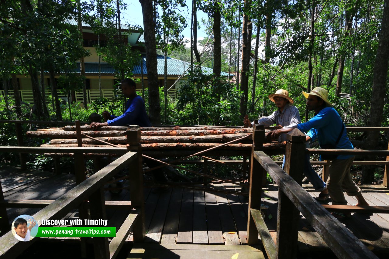 Taman Negara Tanjung Piai