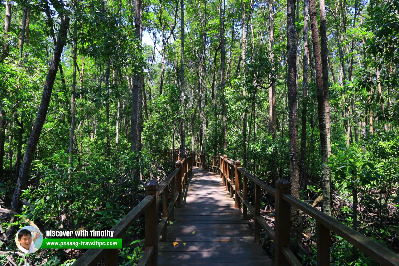 Taman Negara Tanjung Piai