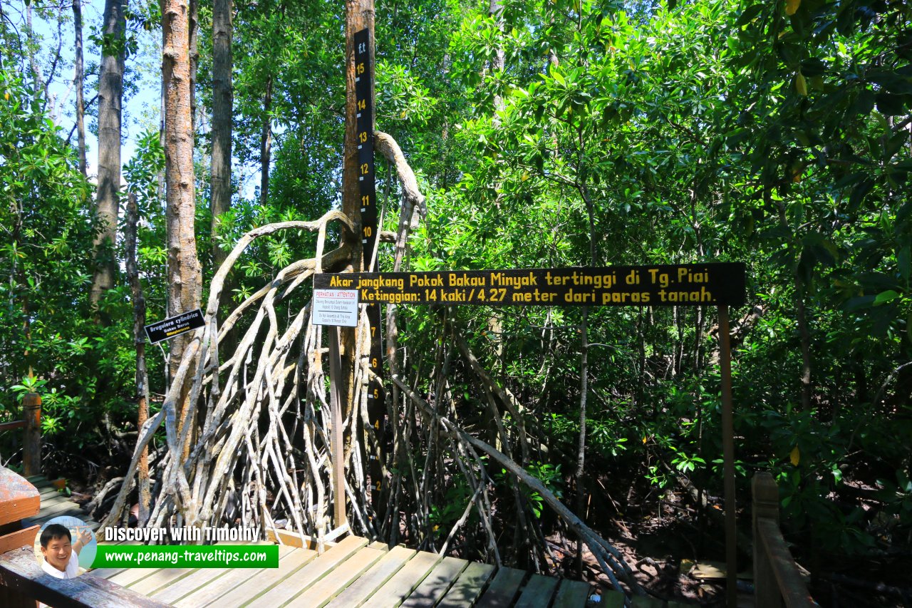 Taman Negara Tanjung Piai