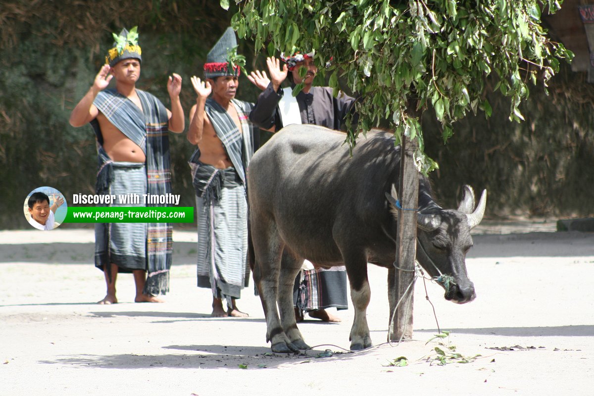 Tarian Sigale-Gale, Museum Huta Bolon Simanindo