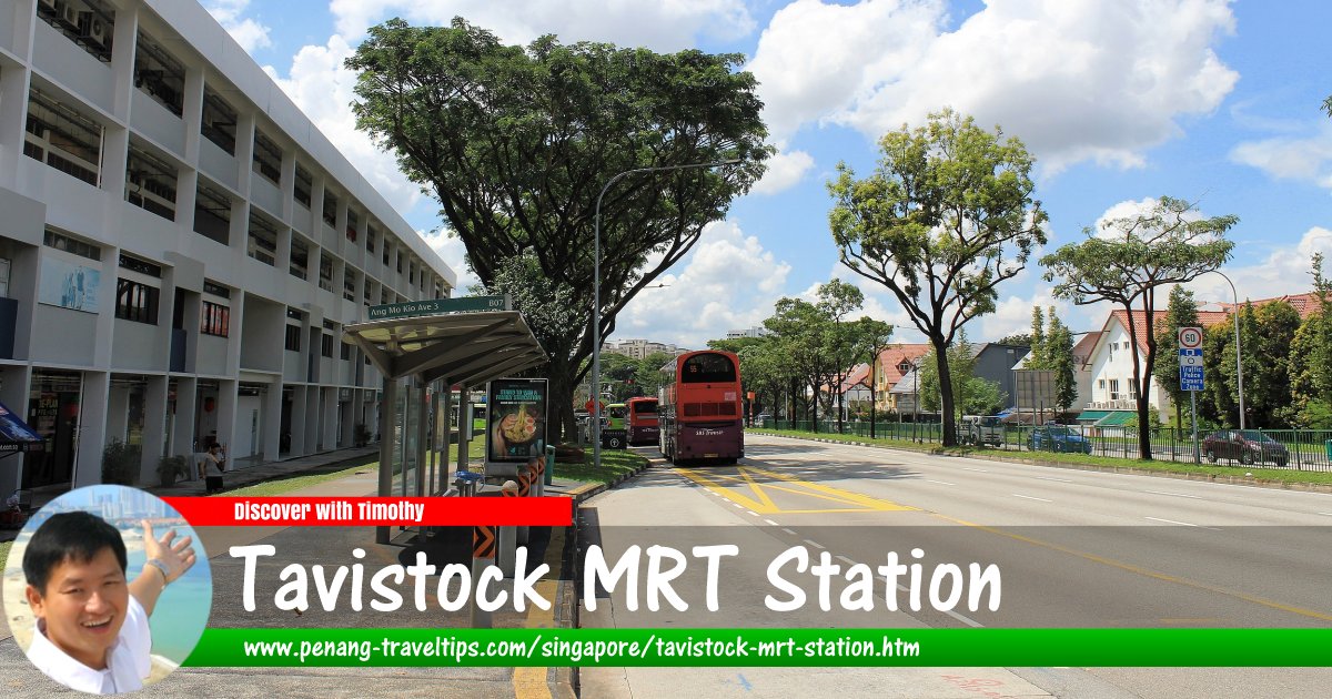 Tavistock MRT Station, Singapore