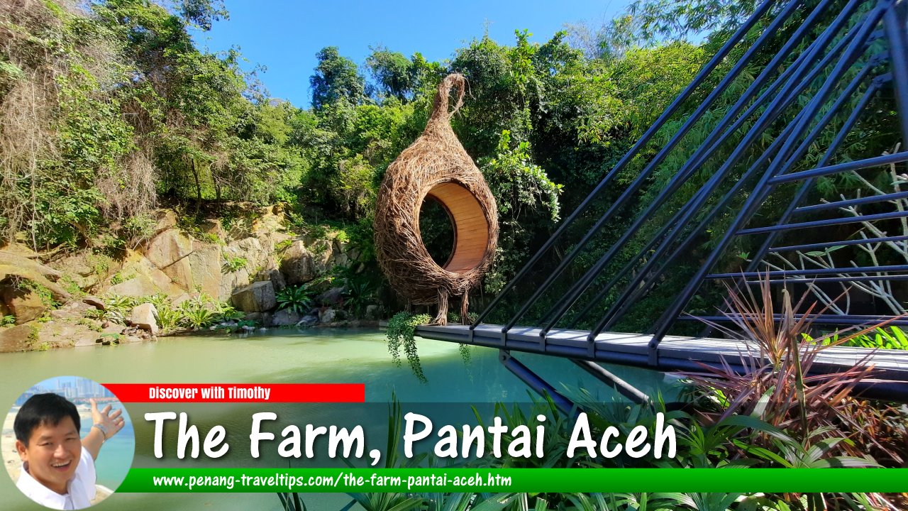The Farm, Pantai Aceh