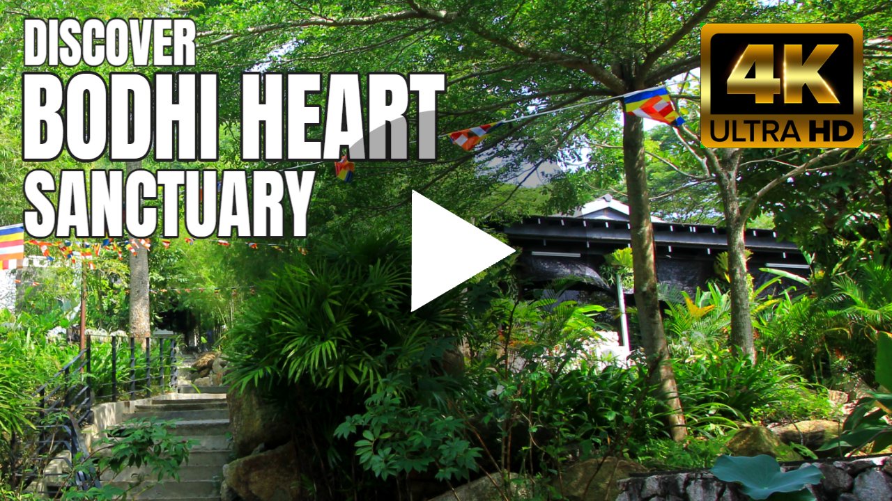 Bodhi Heart Sanctuary Narrated Walking Tour