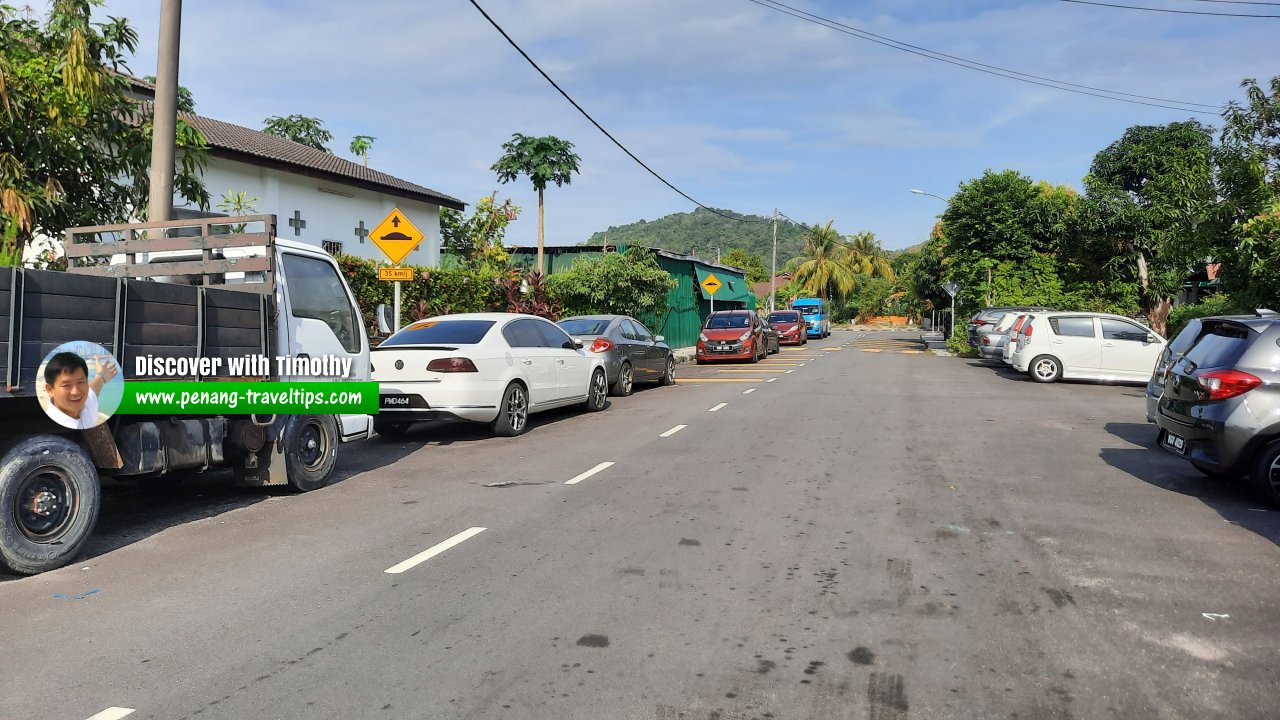 Tingkat Permatang Damar Laut