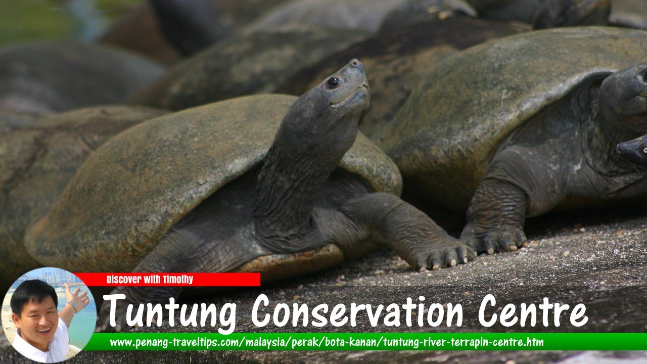 Tuntung Conservation Centre, Bota Kanan, Perak