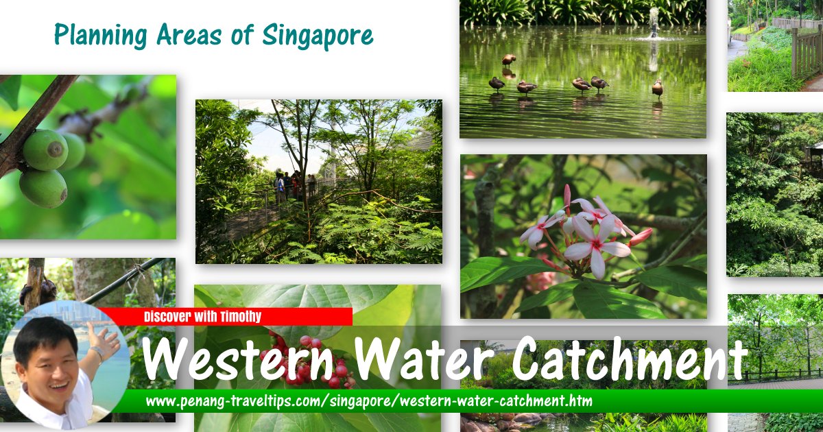 Western Water Catchment, Singapore