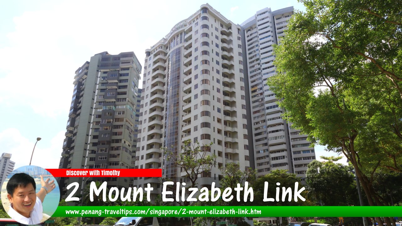2 Mount Elizabeth Link, Singapore