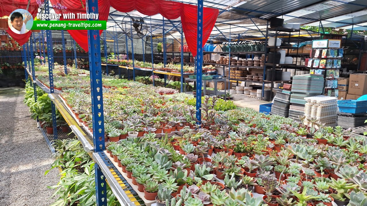 Green Plant Nursery