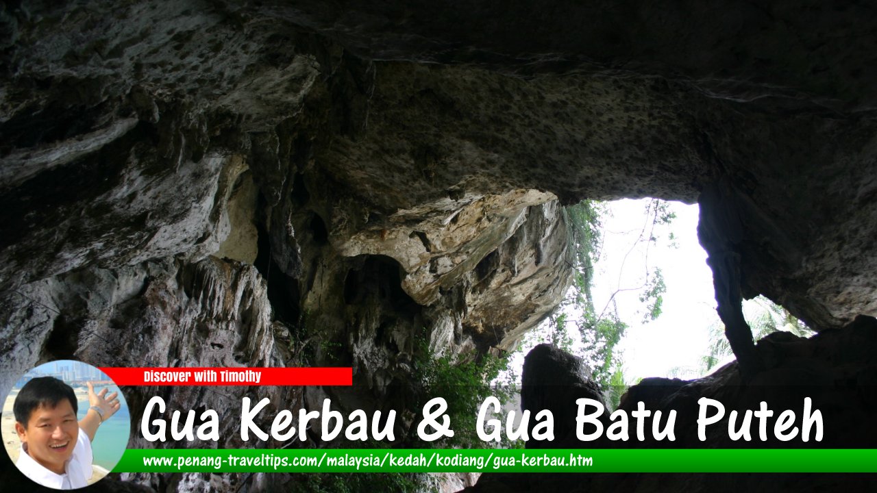Gua Kerbau & Gua Batu Puteh, Kodiang, Kedah