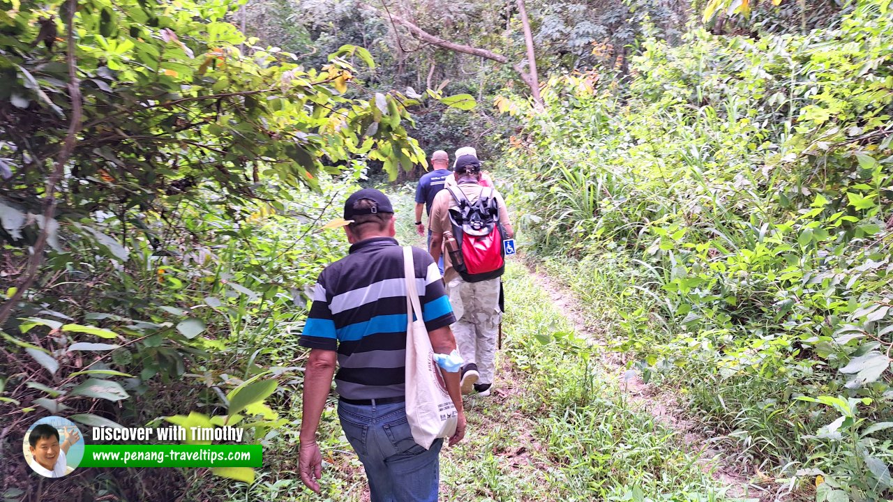 Gua Teluk Kelawar, Lenggong