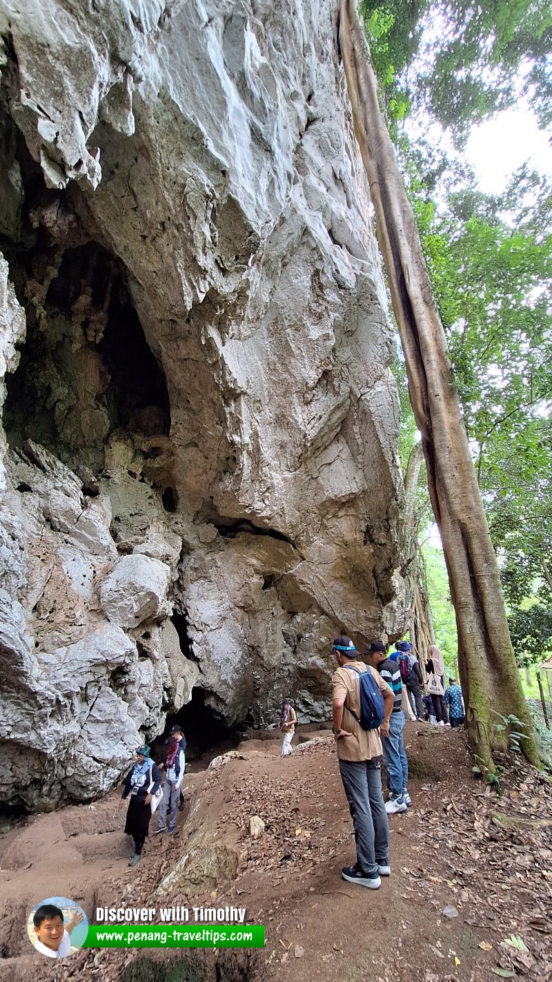 Gua Teluk Kelawar, Lenggong