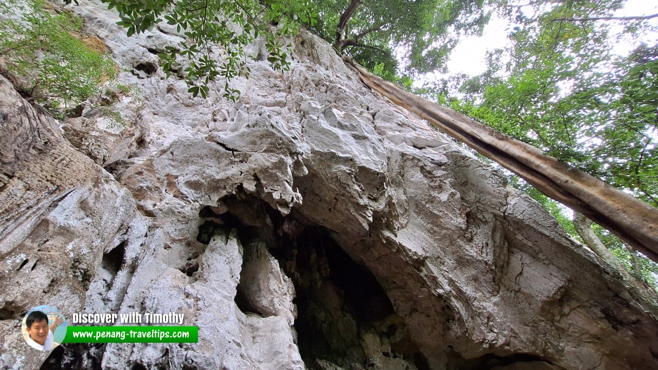 Gua Teluk Kelawar, Lenggong