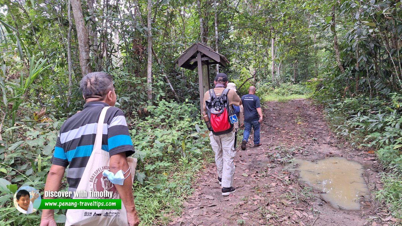 Gua Teluk Kelawar, Lenggong