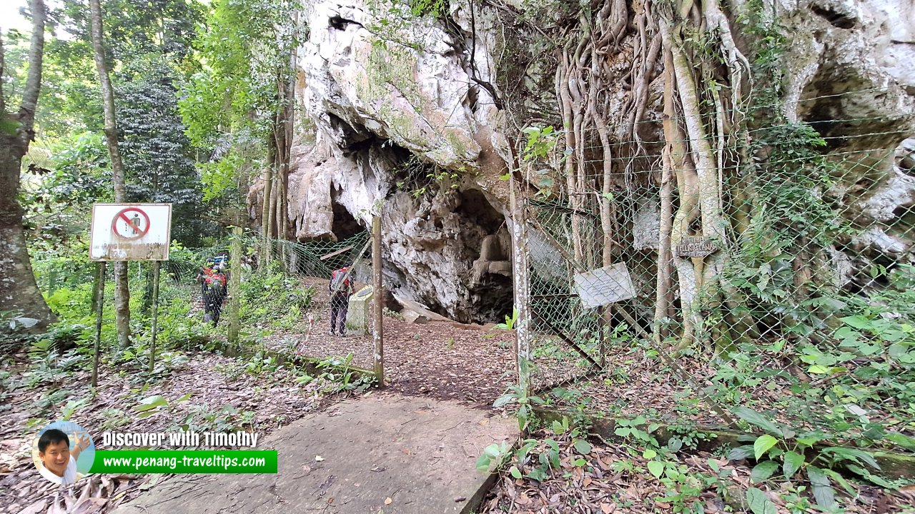 Gua Teluk Kelawar, Lenggong