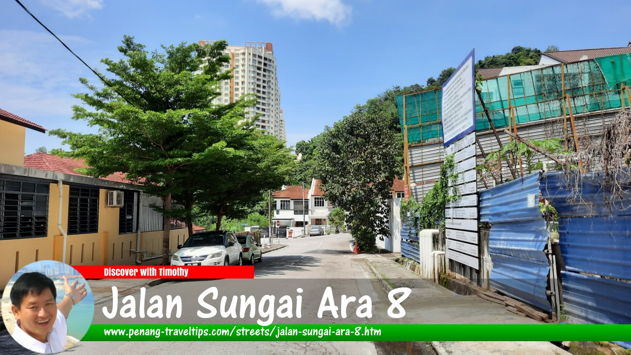 Jalan Sungai Ara 8