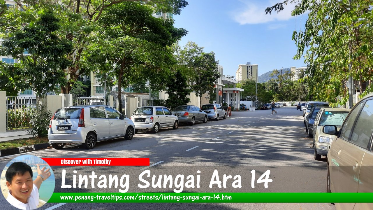 Lintang Sungai Ara 14, Sungai Ara, Penang