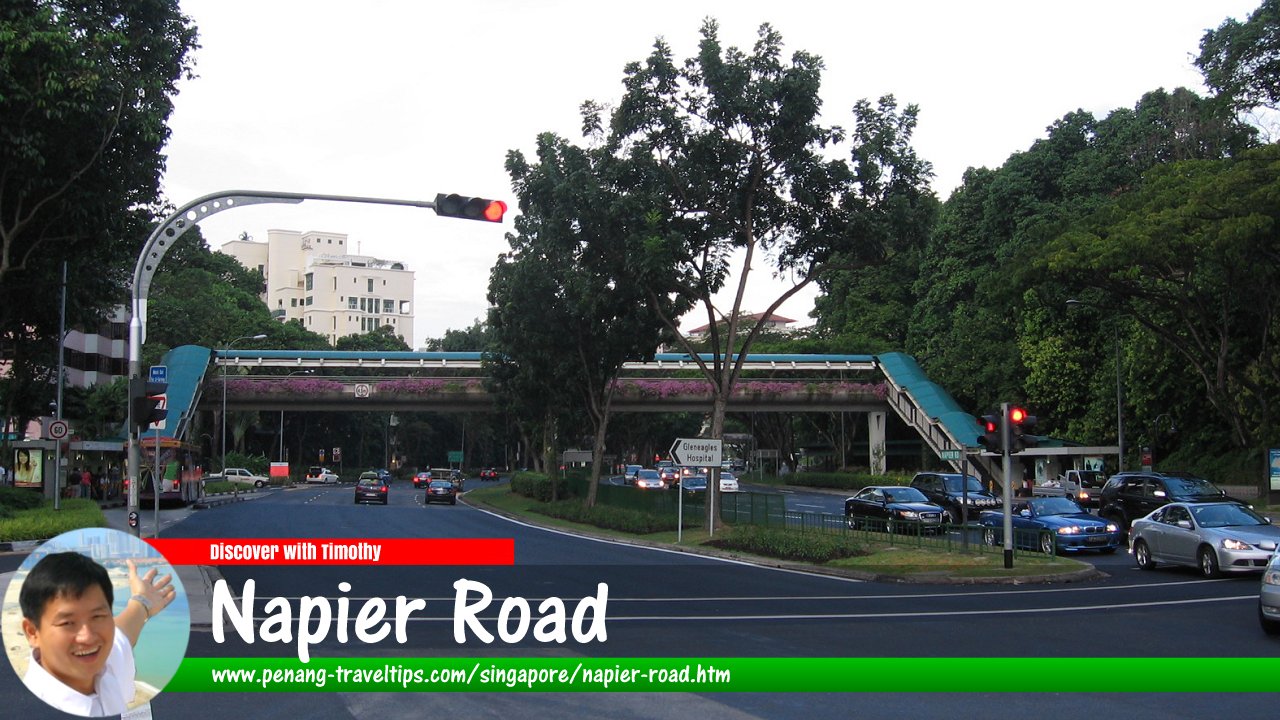Napier Road, Singapore