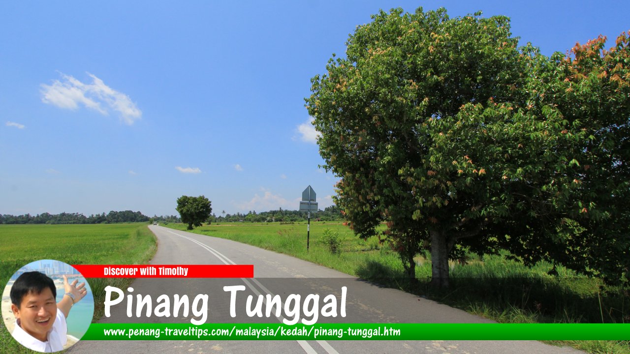 Pinang Tunggal, Kedah