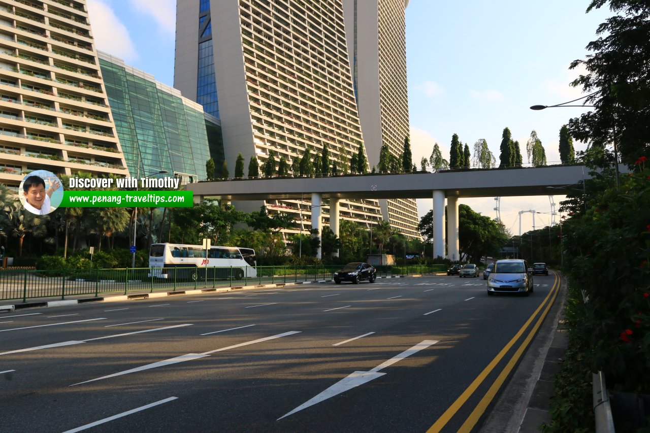 Sheares Avenue, Singapore