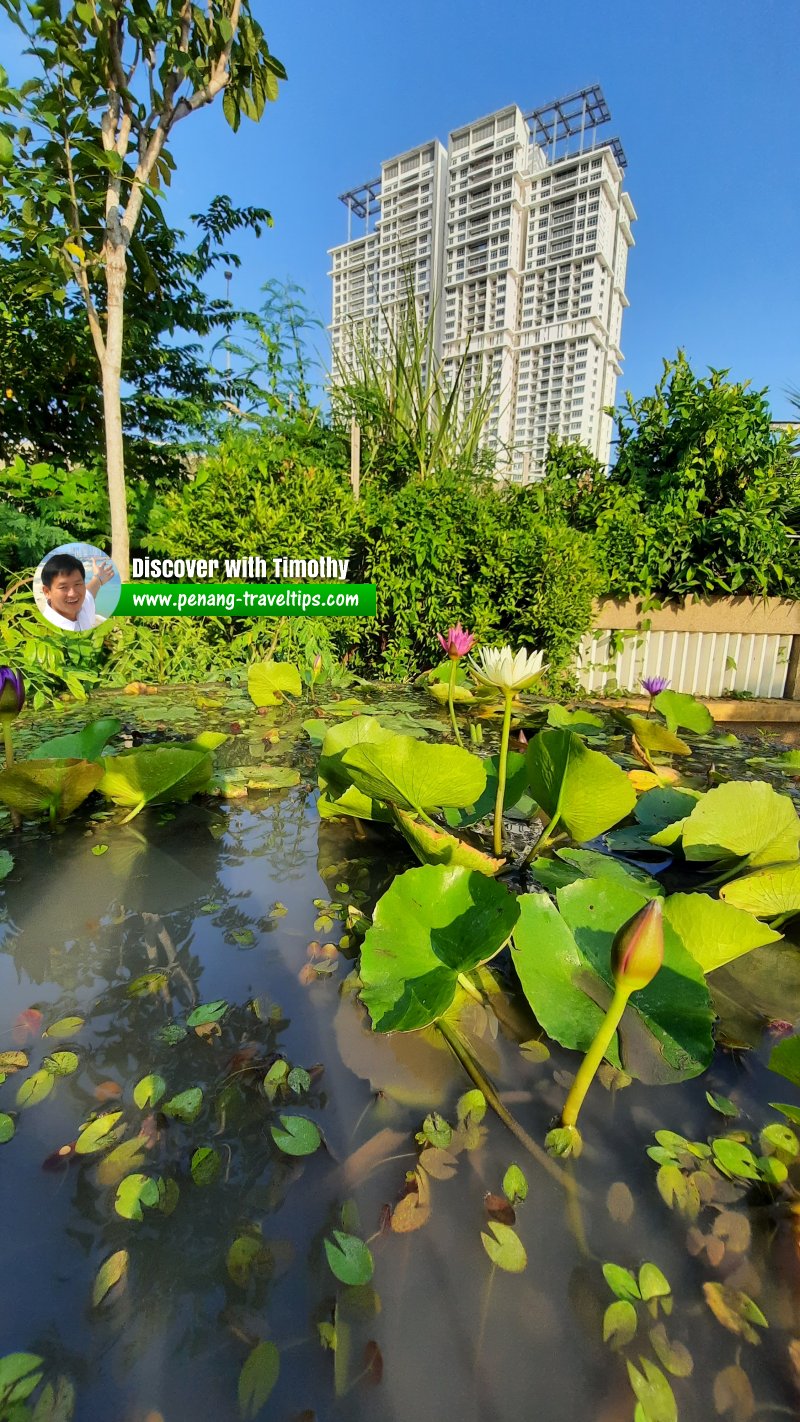 Taman Areca, Bandar Sri Pinang, Jelutong, Penang