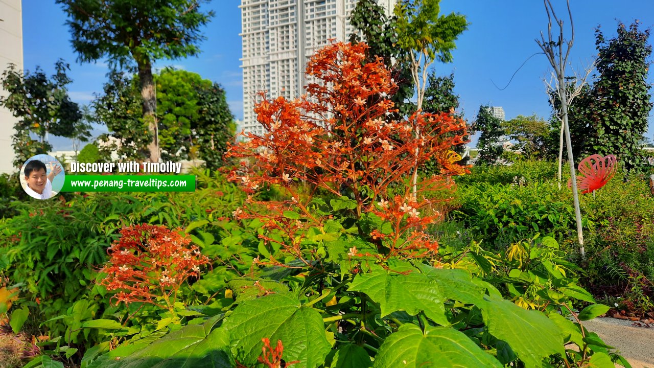 Taman Areca, Bandar Sri Pinang, Jelutong, Penang