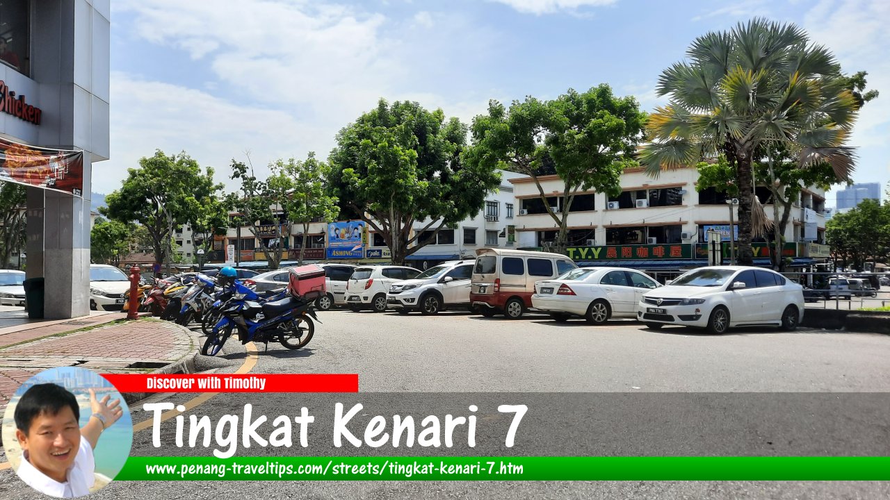 Tingkat Kenari 7, Sungai Ara