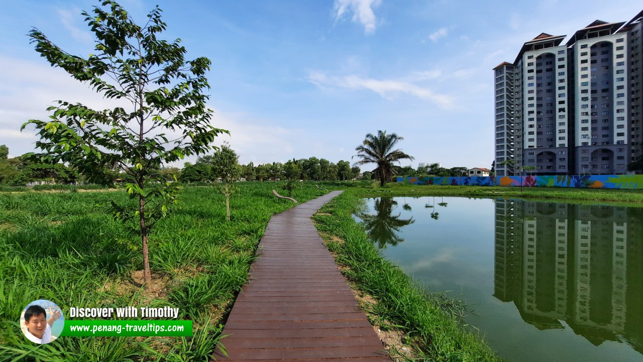 Wooden walkway at WoodHaven