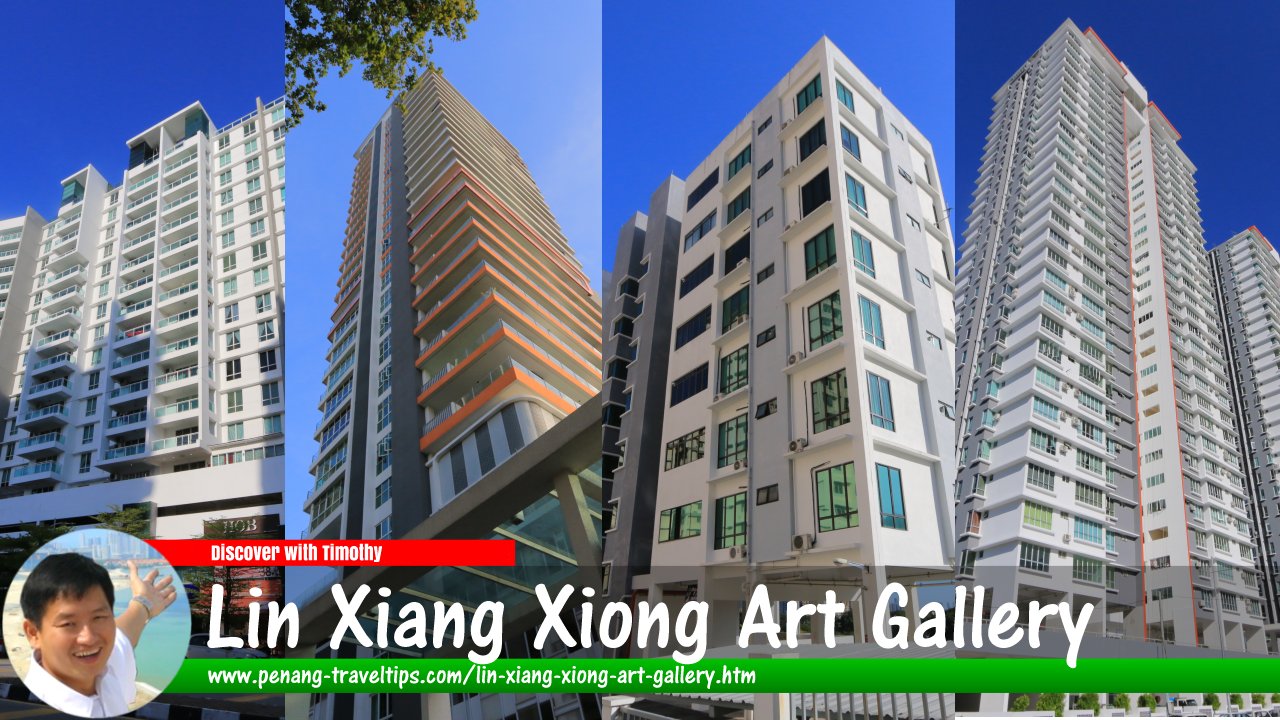 Lin Xiang Xiong Art Gallery 