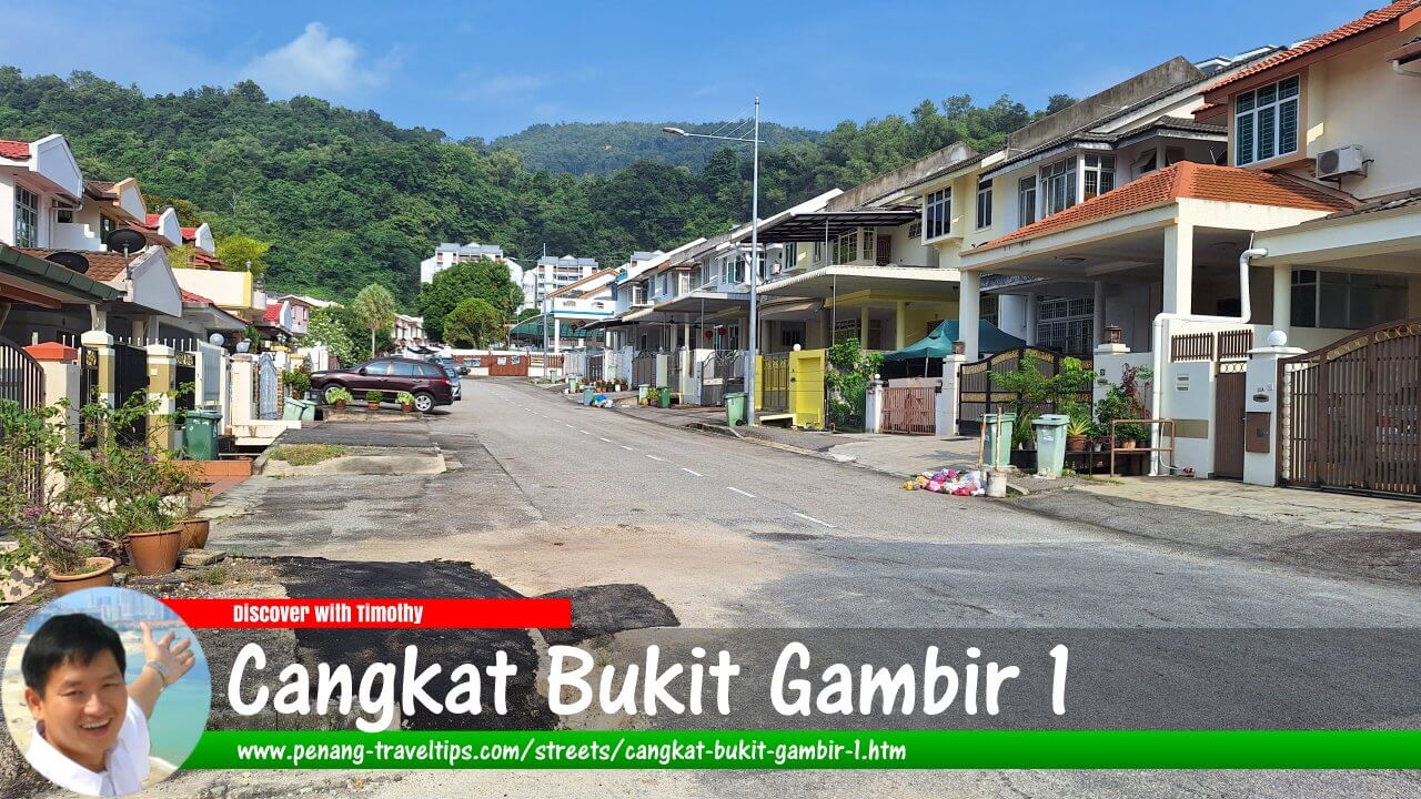 Cangkat Bukit Gambir 1, Gelugor