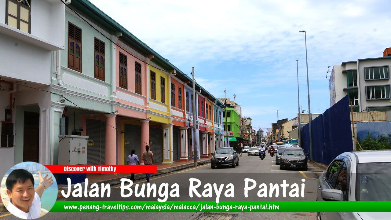 Jalan Bunga Raya Pantai