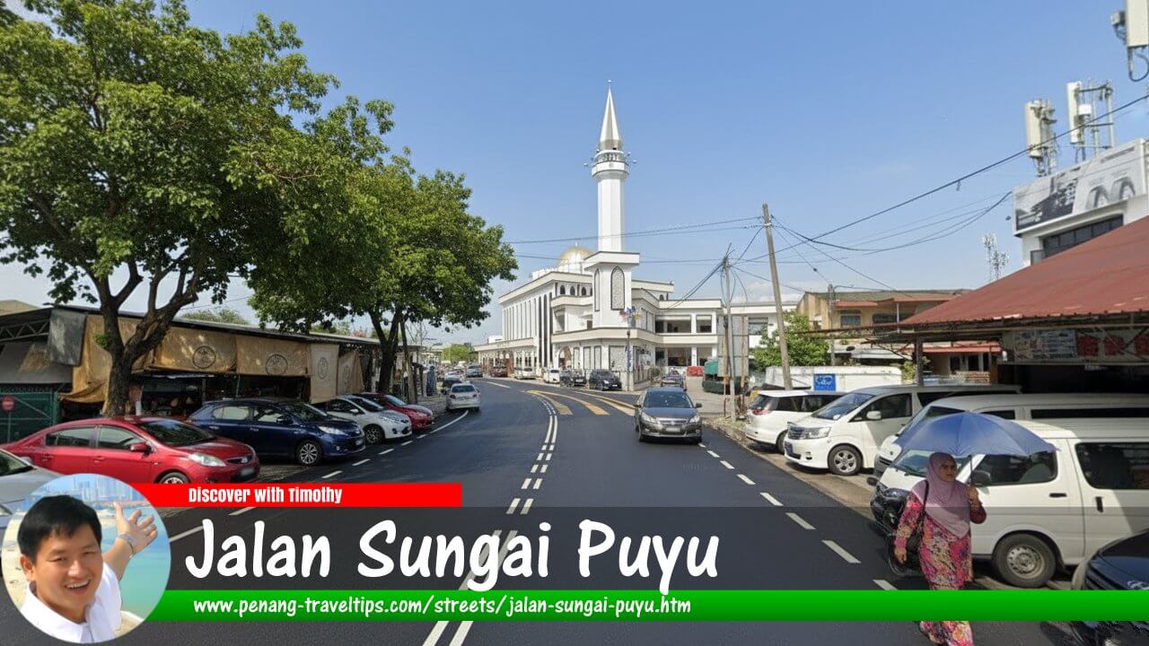 Jalan Sungai Puyu, Butterworth