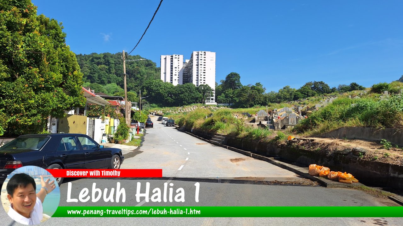 Lebuh Halia 1, Mount Erskine