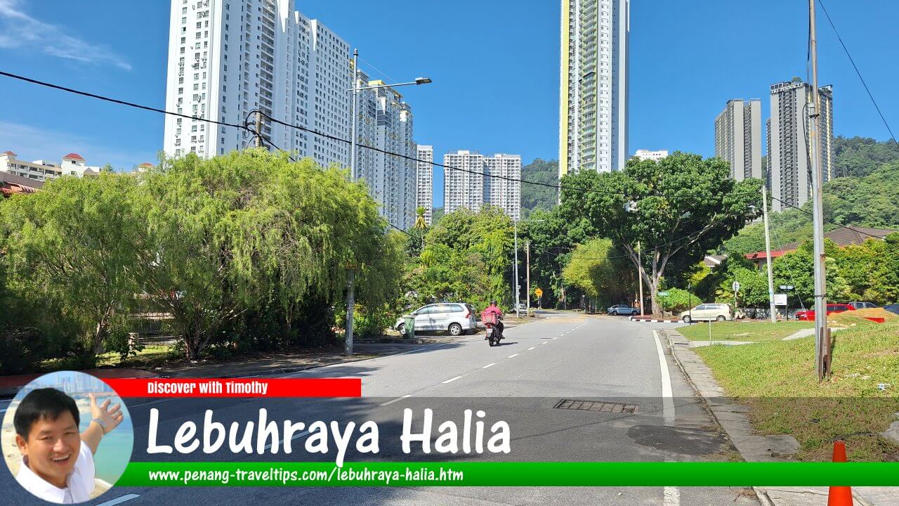 Lebuhraya Halia, Mount Erskine, Penang