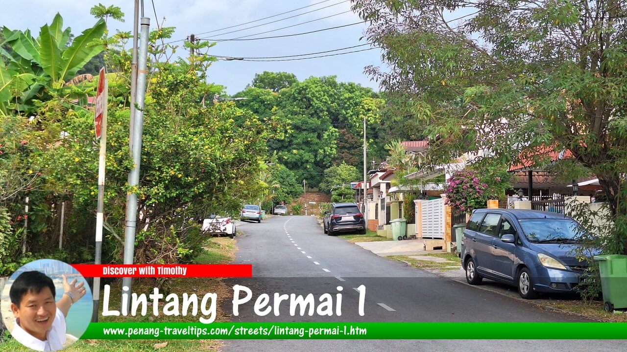 Lintang Permai 1, Gelugor