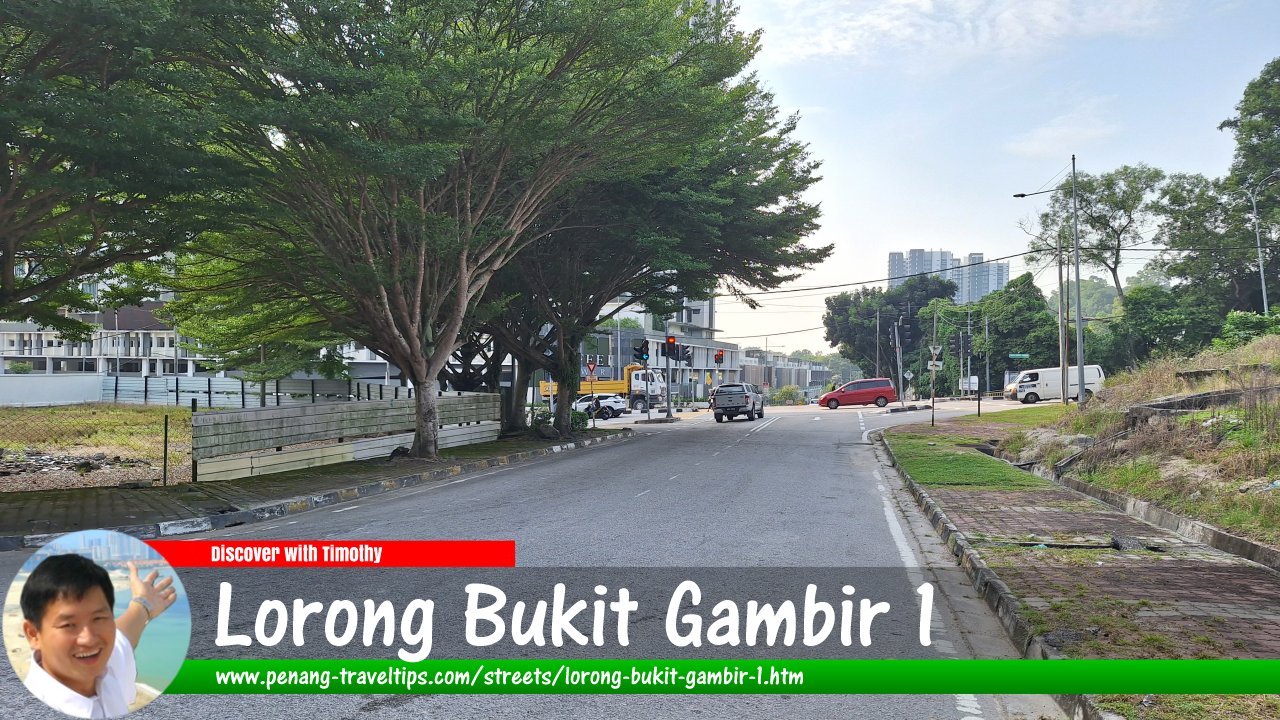 Lorong Bukit Gambir 1, Gelugor