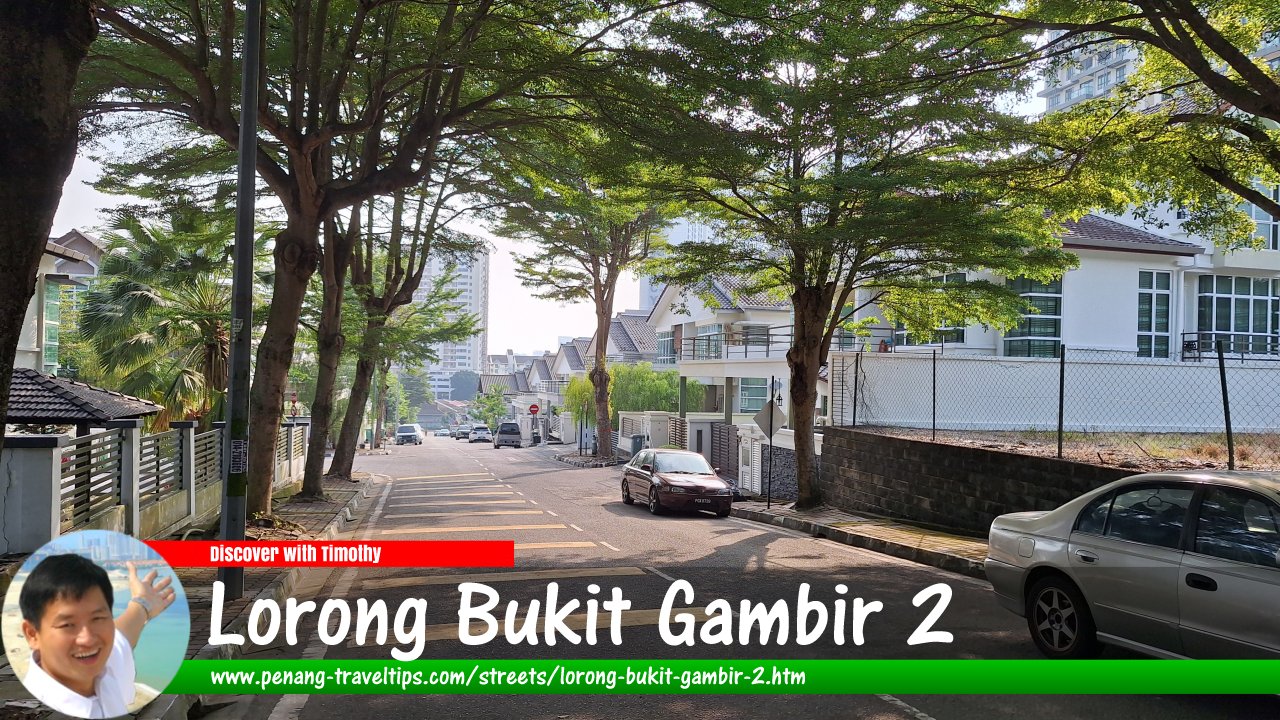 Lorong Bukit Gambir 2, Gelugor