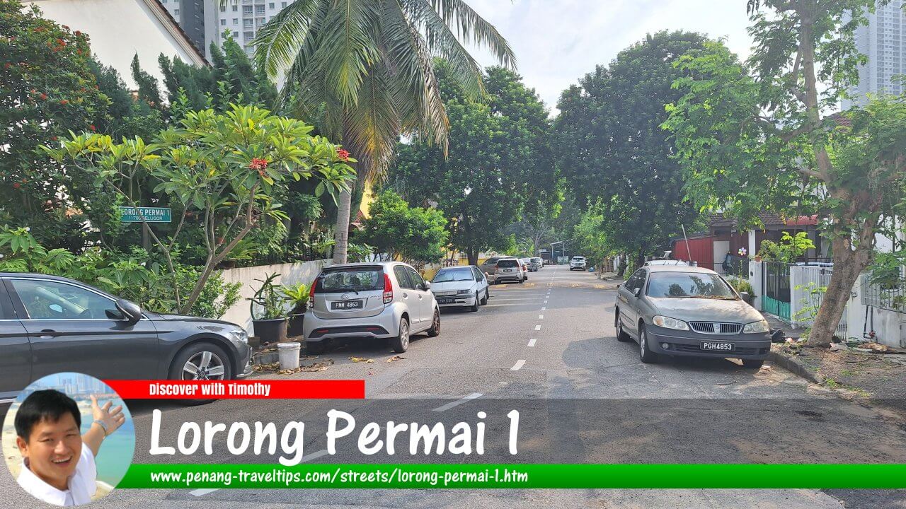 Lorong Permai 1, Gelugor