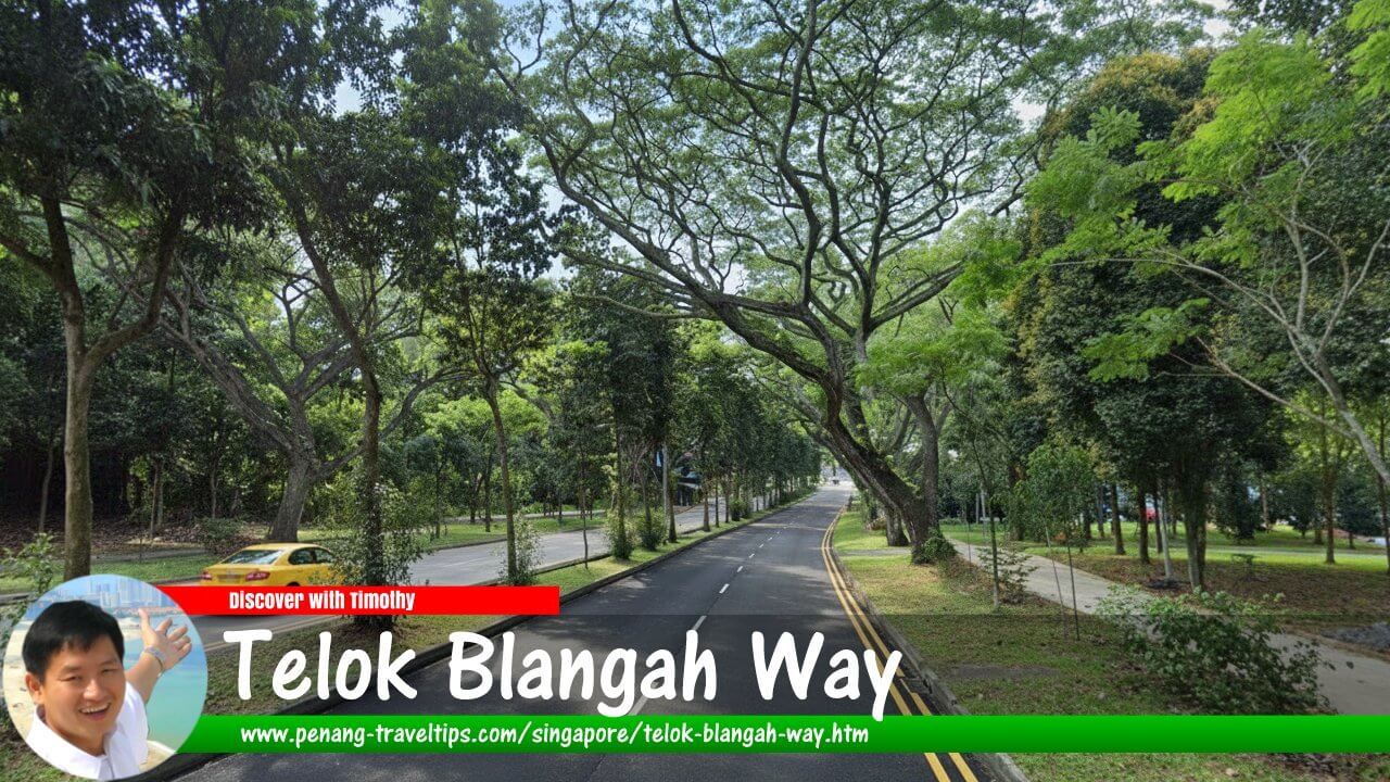 Telok Blangah Way, Singapore