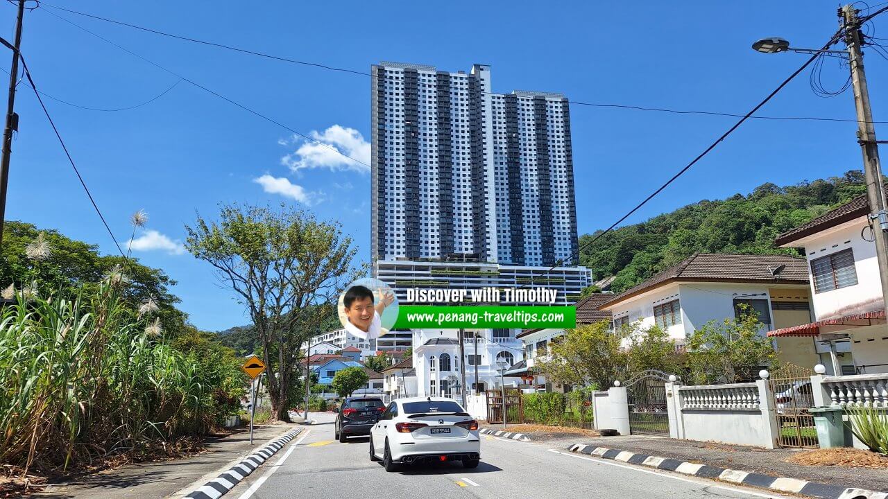 TreeO, Sungai Ara, Penang