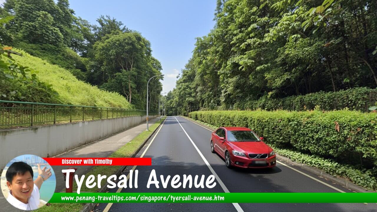Tyersall Avenue, Singapore