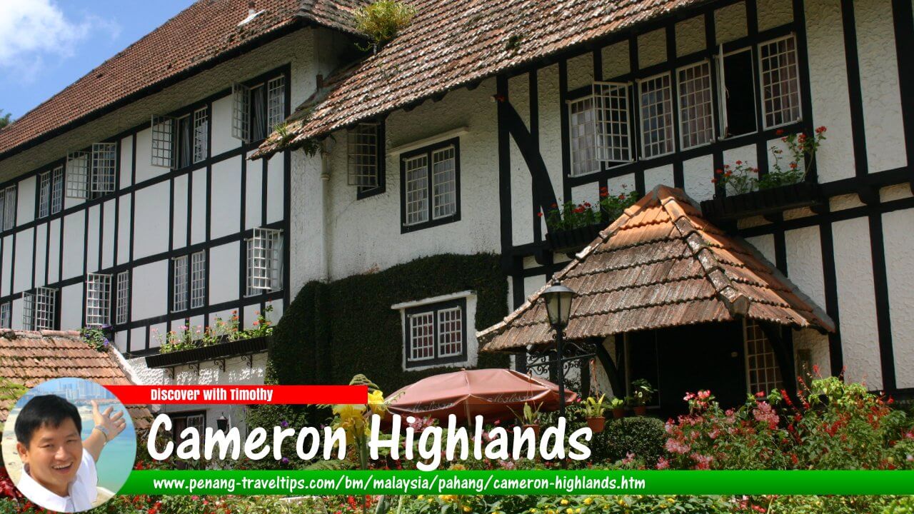 Panduan Melawat Cameron Highlands