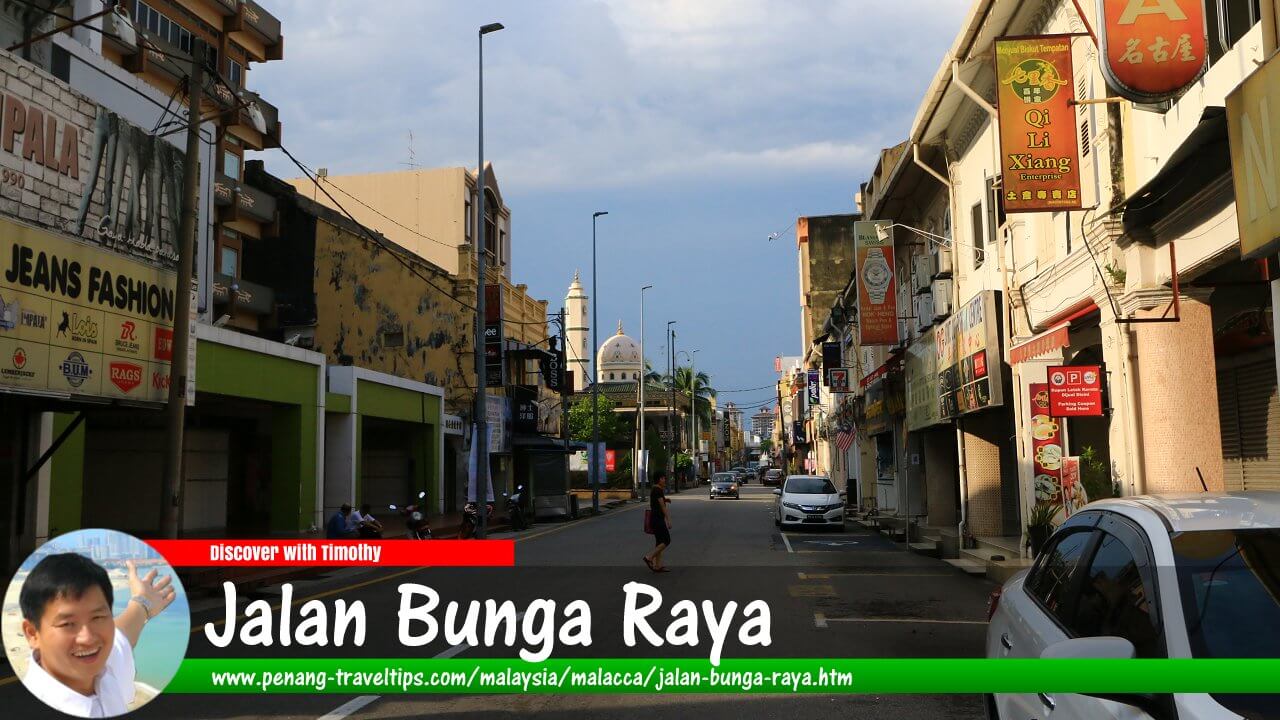 Jalan Bunga Raya, Malacca