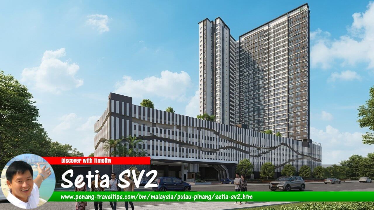 Setia SV2, Jelutong