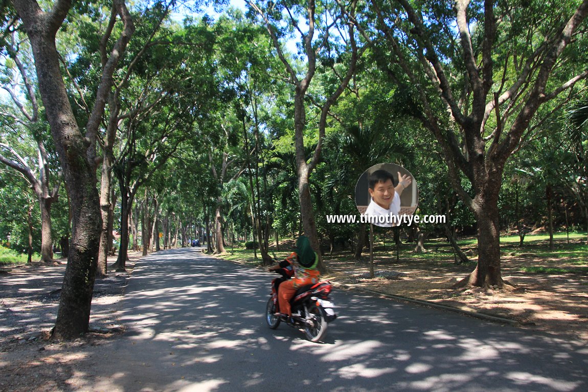 Road that goes around Taman Rekreasi Gunung Keriang