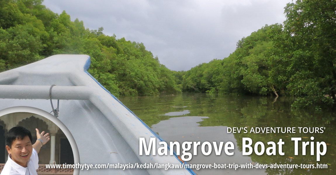 Dev's Adventure Tours' Mangrove Boat Trip