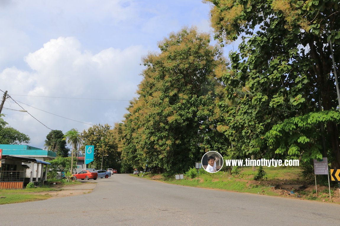 Jalan Simpang Kenyum, Langkawi